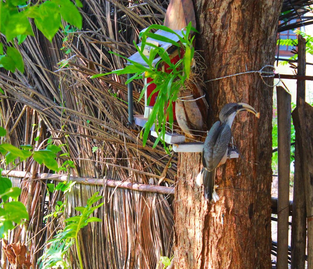 The Courtyard Villa Sigiriya Eksteriør bilde